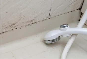 ジメジメしてカビがつきやすい？